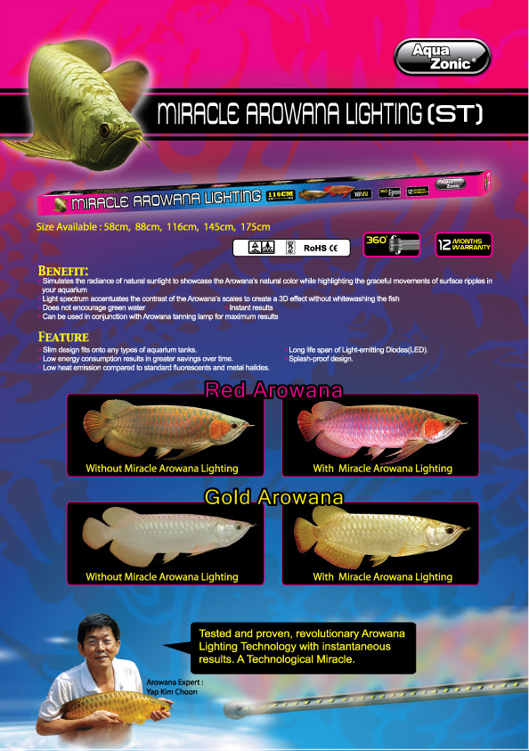 miracle arowana lighting　post