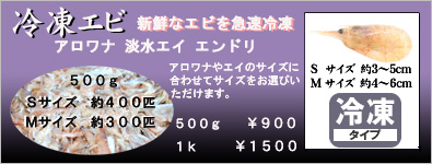 冷凍エビ