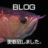 ブログ更新致しました。