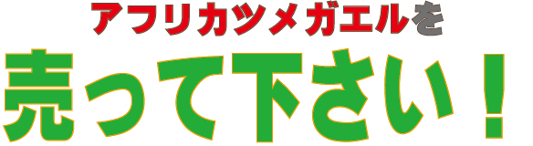 アフリカツメガエルを売って下さい！