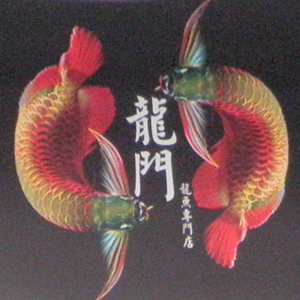 アロワナ専門店 龍門