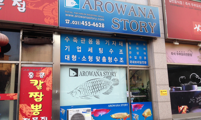 アジアアロワナ専門店arowanastory