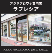 ラフレシア店舗画像画像