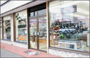 <H1>アジアアロワナ専門店 ラフレシア</H1>